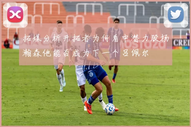 拓媒分析开拓者为何看中潜力股杨瀚森他能否成为下一个吕佩尔